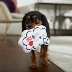 Frisco Valentine Be My Valentine Thought Bubble Reversible Plush Squeaky Dog Toy -Ultimate Pet Shop 298947 PT3. AC SS1800 V1638987445