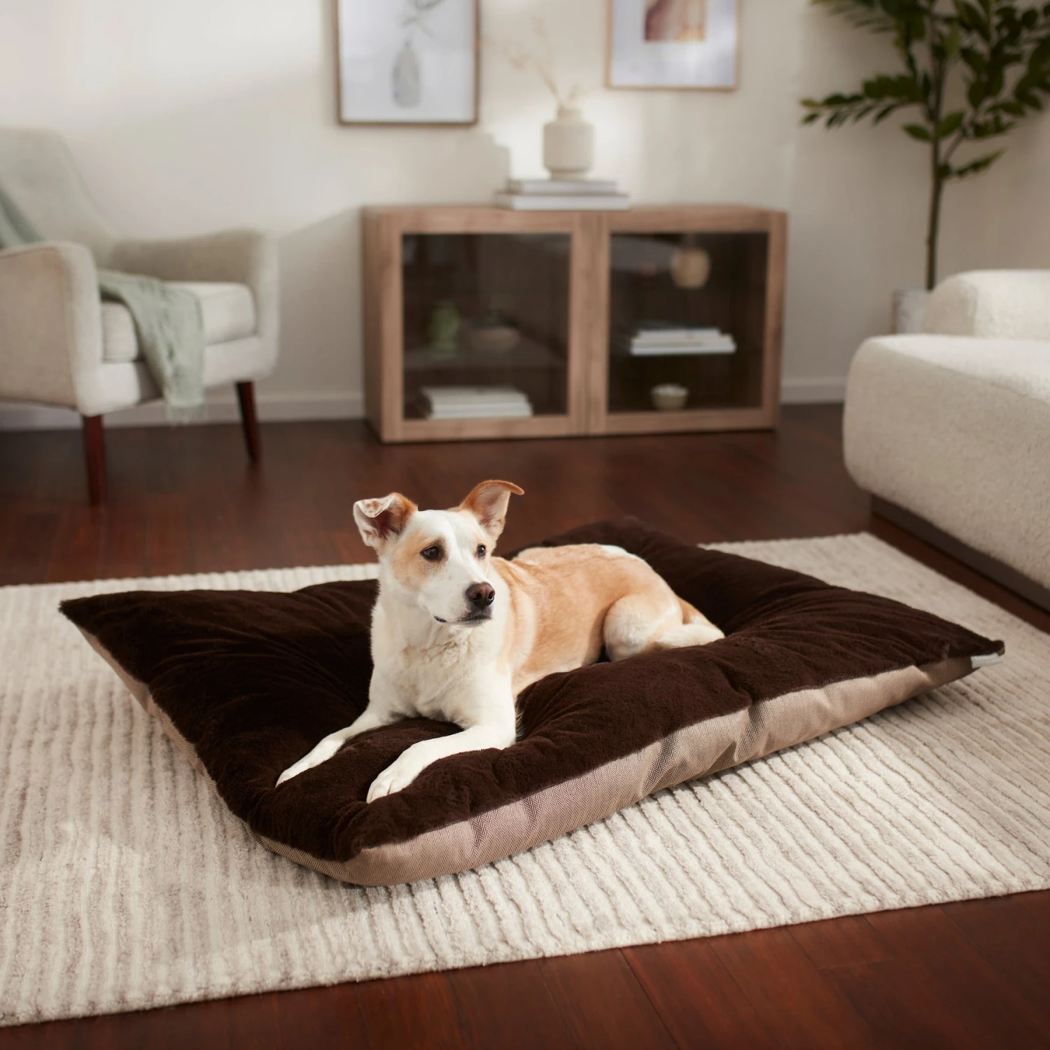 Frisco Herringbone Pillow Dog & Cat Bed 1 Frisco Herringbone Pillow Dog & Cat Bed