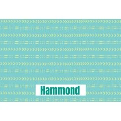 Frisco Mudcloth Personalized Dog & Cat Placemat -Ultimate Pet Shop 299552 PT2. AC SS1800 V1636048646