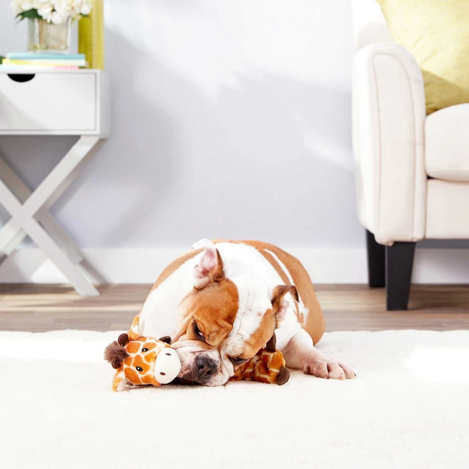 Frisco Giraffe Bungee Plush Squeaky Dog Toy & Frisco Sloth Bungee Plush Squeaky Dog Toy 5 Frisco Giraffe Bungee Plush Squeaky Dog Toy & Frisco Sloth Bungee Plush Squeaky Dog Toy - Image 5