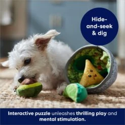 Frisco Guacamole Hide & Seek Puzzle Plush Squeaky Dog Toy & Frisco Guacamole Hide & Seek Puzzle Plush Squeaky Dog Toy Refills -Ultimate Pet Shop 302478 PT4. AC SS1800 V1693327290