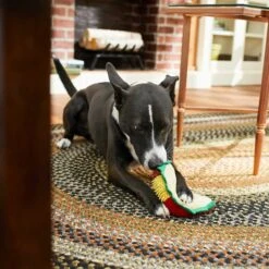 Frisco Pizza Slice Plush Squeaky Dog Toy & Frisco Taco Plush Squeaky Dog Toy -Ultimate Pet Shop 302494 PT6. AC SS1800 V1623071256