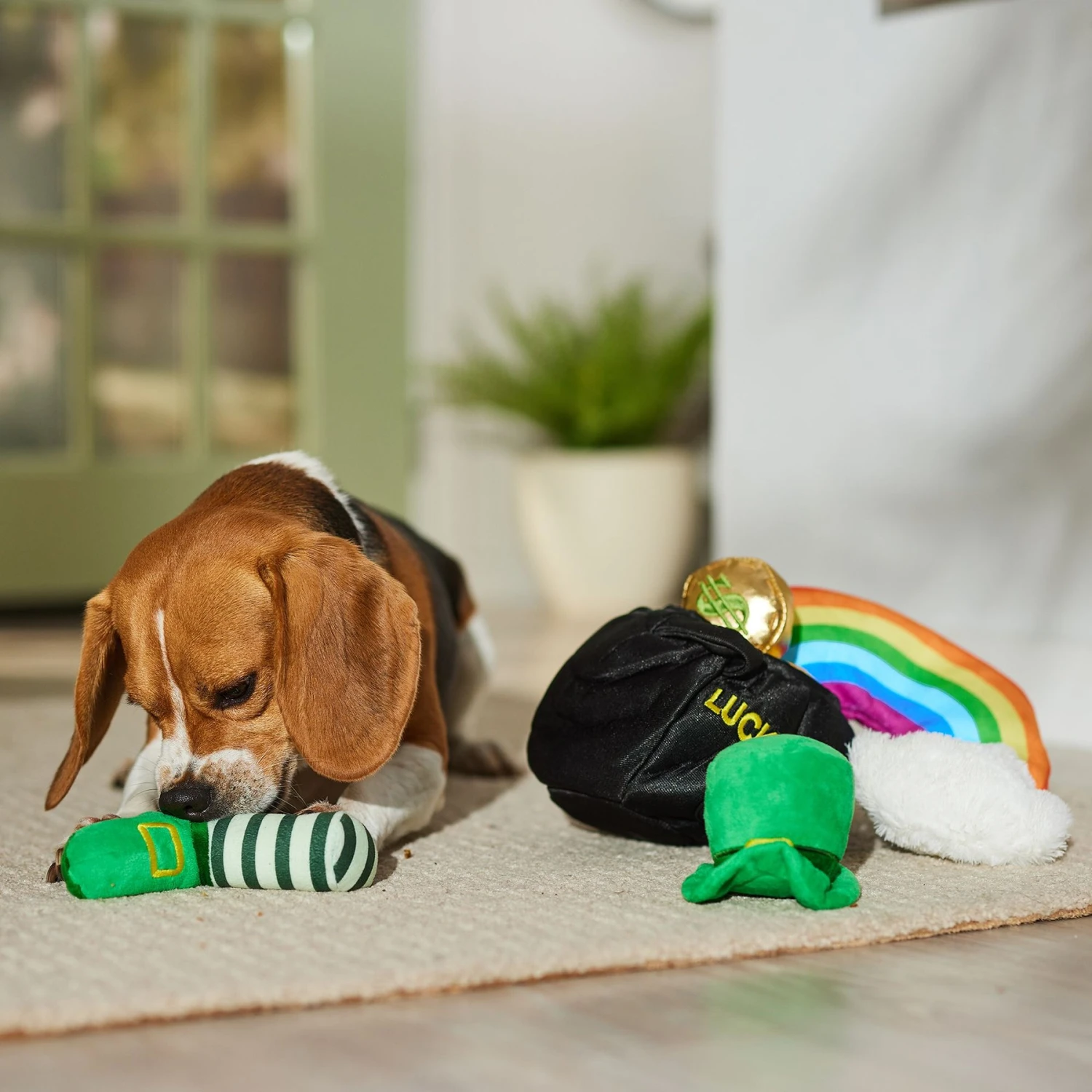 Frisco St. Patrick's Pot Of Gold Hide & Seek Puzzle Plush Squeaky Dog Toy 5 Frisco St. Patrick's Pot Of Gold Hide & Seek Puzzle Plush Squeaky Dog Toy - Image 5