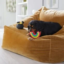 Frisco St. Patrick's Rainbow And Pot Of Gold Latex Squeaky Dog Toy -Ultimate Pet Shop 303136 PT4. AC SS1800 V1702500566