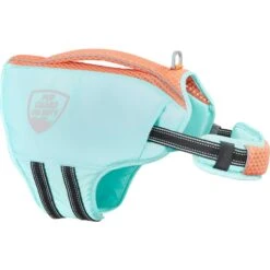 Frisco Active Dog Life Jacket & Frisco Foam Rubber Floating Fetch Ball No Squeak Dog Toy 11 Frisco Active Dog Life Jacket & Frisco Foam Rubber Floating Fetch Ball No Squeak Dog Toy -Ultimate Pet Shop 303364 PT2. AC SS1800 V1623163059