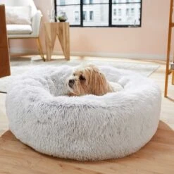 Frisco Eyelash Cat & Dog Bolster Bed & Frisco Eyelash Cat & Dog Blanket -Ultimate Pet Shop 303412 PT4. AC SS1800 V1623069146