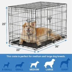 Frisco Fold & Carry Double Door Collapsible Wire Dog Crate & Mat Kit & Frisco Stainless Steel Bowl 10 Frisco Fold & Carry Double Door Collapsible Wire Dog Crate & Mat Kit & Frisco Stainless Steel Bowl -Ultimate Pet Shop 303428 PT2. AC SS1800 V1623055045
