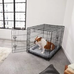 Frisco Fold & Carry Double Door Collapsible Wire Dog Crate & Mat Kit & Frisco Stainless Steel Bowl 12 Frisco Fold & Carry Double Door Collapsible Wire Dog Crate & Mat Kit & Frisco Stainless Steel Bowl -Ultimate Pet Shop 303428 PT4. AC SS1800 V1623089543