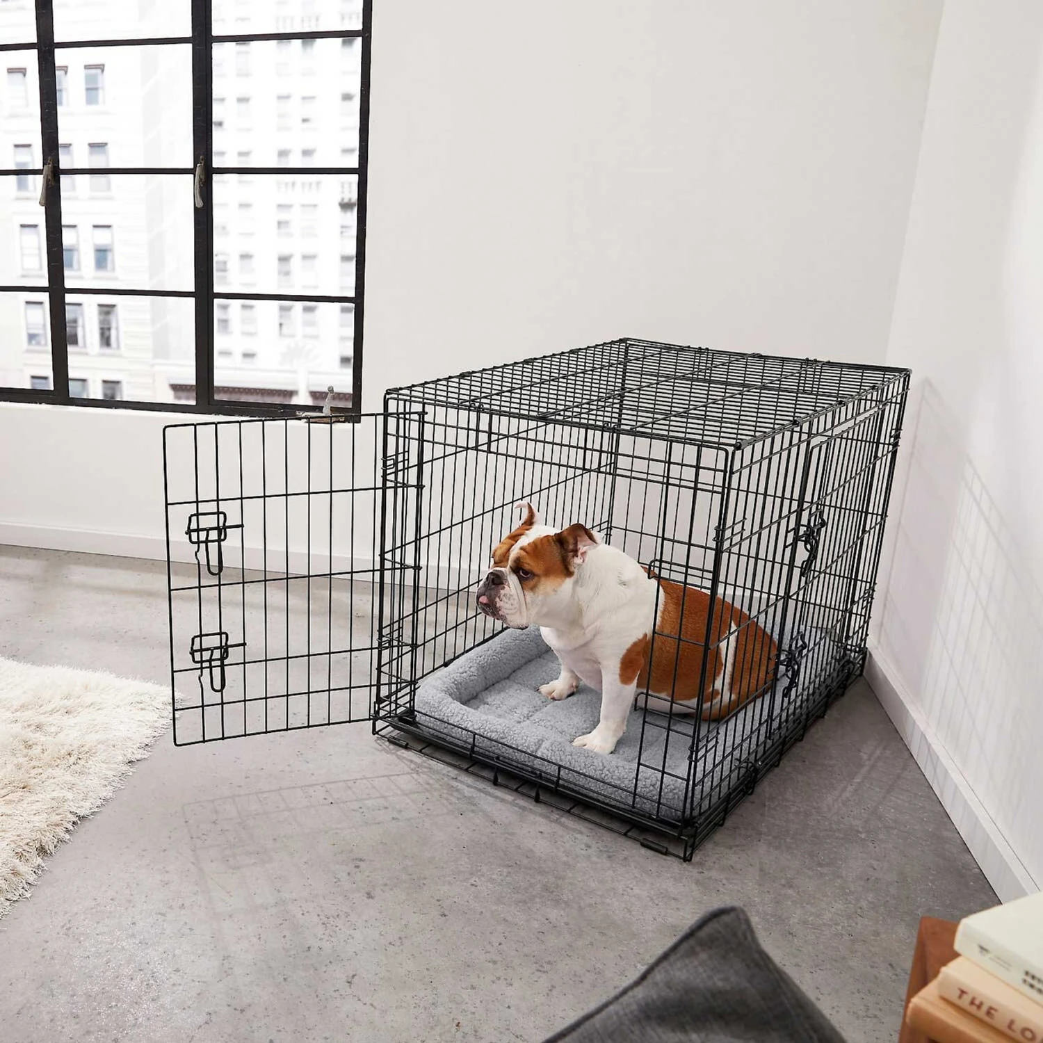 Frisco Fold & Carry Double Door Collapsible Wire Dog Crate & Mat Kit & Frisco Stainless Steel Bowl 5 Frisco Fold & Carry Double Door Collapsible Wire Dog Crate & Mat Kit & Frisco Stainless Steel Bowl - Image 5