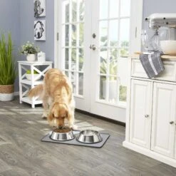 Frisco Fold & Carry Double Door Collapsible Wire Dog Crate & Mat Kit & Frisco Stainless Steel Bowl 15 Frisco Fold & Carry Double Door Collapsible Wire Dog Crate & Mat Kit & Frisco Stainless Steel Bowl -Ultimate Pet Shop 303428 PT7. AC SS1800 V1623045760