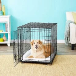 Frisco Fold & Carry Single Door Collapsible Wire Dog Crate & Frisco Premium Extra Large Printed Dog Training & Potty Pads 13 Frisco Fold & Carry Single Door Collapsible Wire Dog Crate & Frisco Premium Extra Large Printed Dog Training & Potty Pads -Ultimate Pet Shop 303438 PT4. AC SS1800 V1623088347