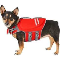 Frisco Neoprene Dog Life Jacket & Frisco Foam Rubber Floating Fetch Ball No Squeak Dog Toy -Ultimate Pet Shop 303480 PT1. AC SS1800 V1623062848