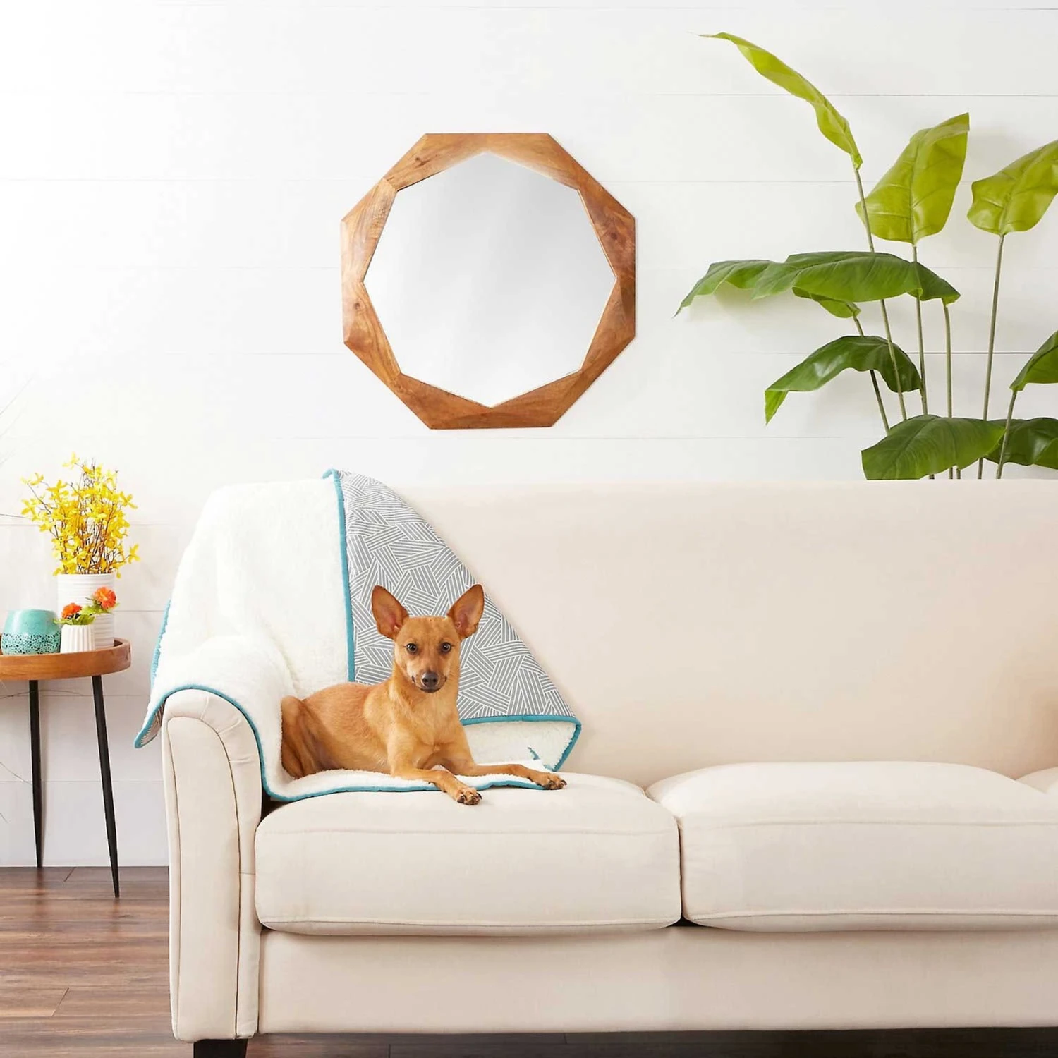 Frisco Sherpa Dog & Cat Blanket & Frisco Sherpa Hexagon Bolster Cat & Dog Bed 4 Frisco Sherpa Dog & Cat Blanket & Frisco Sherpa Hexagon Bolster Cat & Dog Bed - Image 4