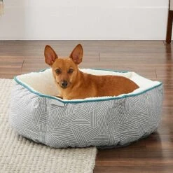 Frisco Sherpa Dog & Cat Blanket & Frisco Sherpa Hexagon Bolster Cat & Dog Bed 15 Frisco Sherpa Dog & Cat Blanket & Frisco Sherpa Hexagon Bolster Cat & Dog Bed -Ultimate Pet Shop 303598 PT7. AC SS1800 V1623071862