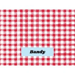 Frisco Personalized Gingham Plaid Sherpa Cat & Dog Blanket, 30" X 40" -Ultimate Pet Shop 303834 PT4. AC SS1800 V1637610144