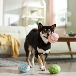 Frisco Easter Eggs Plush Squeaky Dog Toy 10 Frisco Easter Eggs Plush Squeaky Dog Toy -Ultimate Pet Shop 304954 PT4. AC SS1800 V1702500565