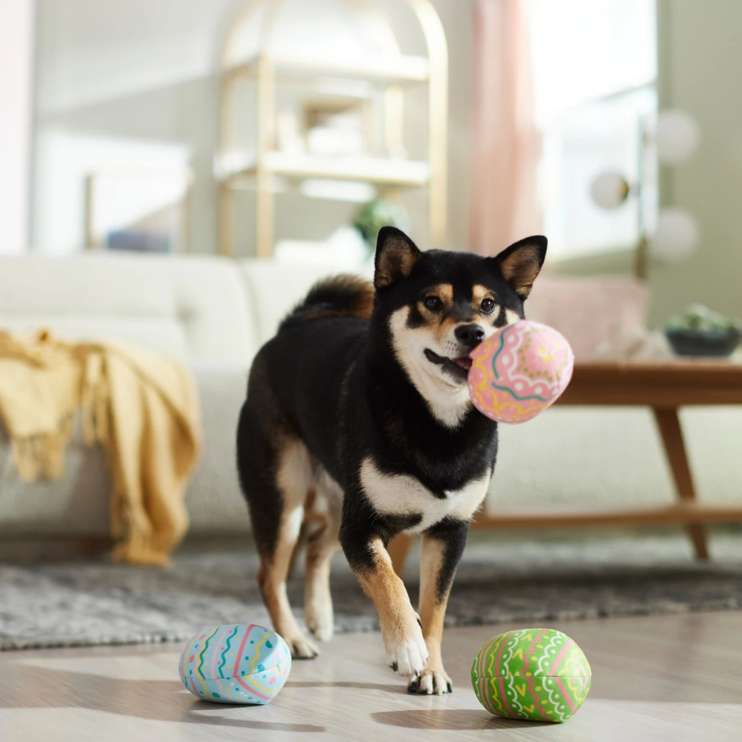 Frisco Easter Eggs Plush Squeaky Dog Toy 5 Frisco Easter Eggs Plush Squeaky Dog Toy - Image 5