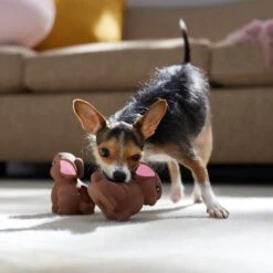 Frisco Easter Chocolate Bunnies Latex Squeaky Dog Toy -Ultimate Pet Shop 304956 PT4. AC SS1800 V1700162989