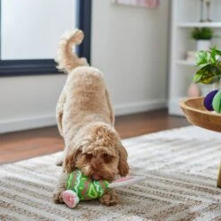 Frisco Easter Bunny Egg Plush Squeaky Dog Toy -Ultimate Pet Shop 304960 PT4. AC SS1800 V1702500564