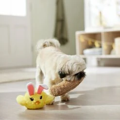 Frisco Easter Chick In Nest 2-in-1 Plush Squeaky Dog Toy -Ultimate Pet Shop 304962 PT4. AC SS1800 V1702500565