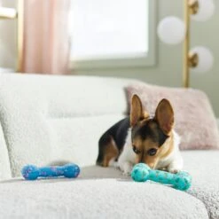 Frisco Easter TPR Bone Squeaky Dog Toy, Medium/Large, 2 Count -Ultimate Pet Shop 304966 PT4. AC SS1800 V1670608502