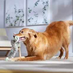 Frisco Easter Bunny Plush With Rope Squeaky Dog Toy -Ultimate Pet Shop 304974 PT4. AC SS1800 V1702500566