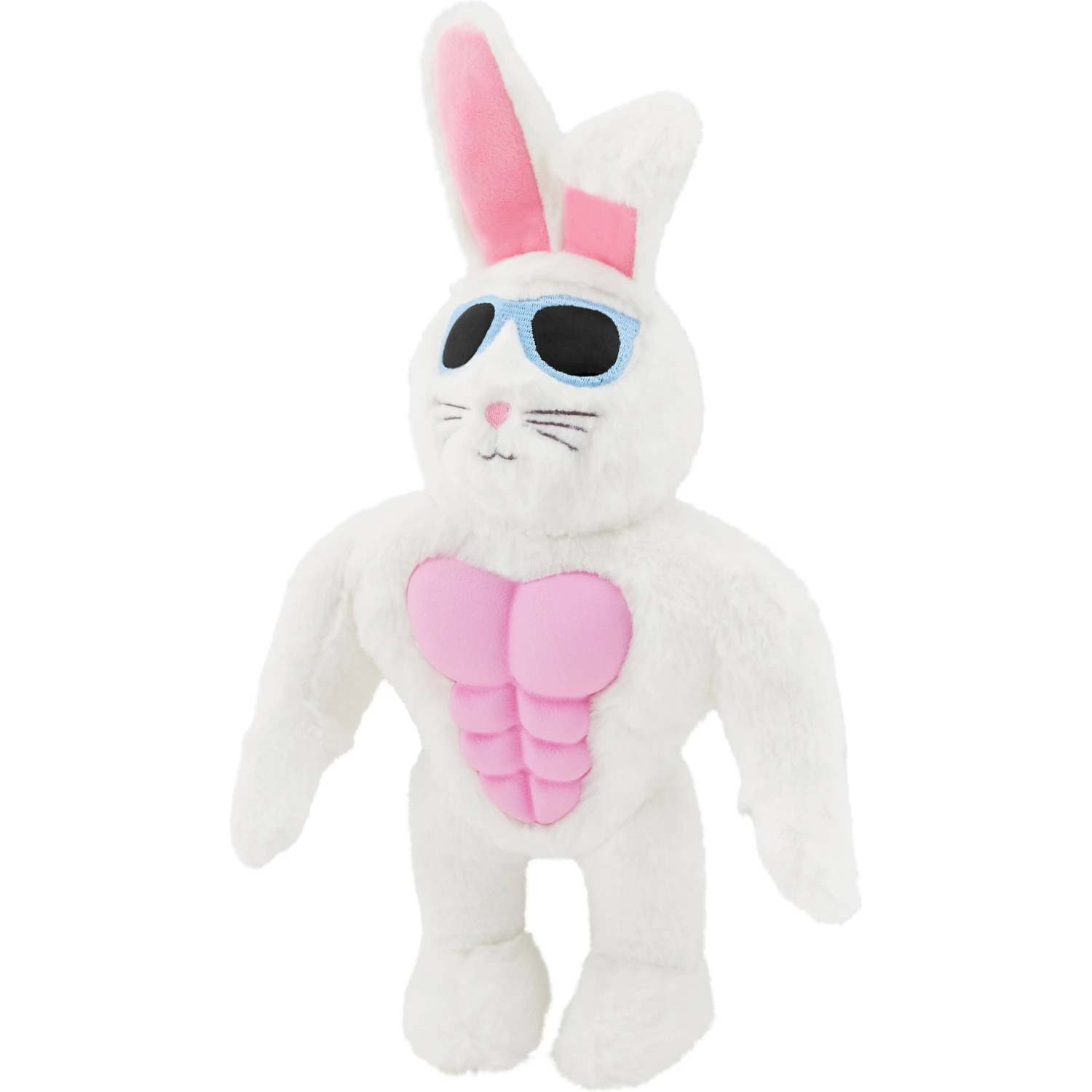 Frisco Easter Bunny Muscle Plush Squeaky Dog Toy 1 Frisco Easter Bunny Muscle Plush Squeaky Dog Toy