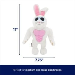 Frisco Easter Bunny Muscle Plush Squeaky Dog Toy 6 Frisco Easter Bunny Muscle Plush Squeaky Dog Toy -Ultimate Pet Shop 304976 PT1. AC SS1800 V1672780527