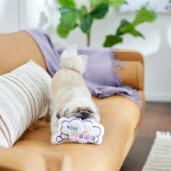 Frisco Easter Message Bubble Plush Squeaky Dog Toy -Ultimate Pet Shop 304980 PT3. AC SS1800 V1642441439