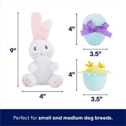 Frisco Easter Basket Hide & Seek Puzzle Plush Squeaky Dog Toy -Ultimate Pet Shop 304982 PT2. AC SS1800 V1702665735