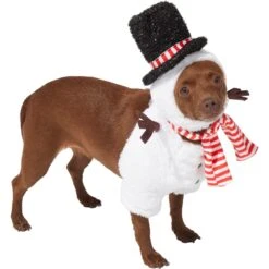 Frisco Front Walking Snowman Dog & Cat Costume -Ultimate Pet Shop 306569 PT3. AC SS1800 V1631660597