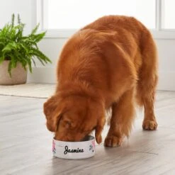 Frisco Personalized Rustic Ceramic Dog Bowl, 4.75-cup, 38oz -Ultimate Pet Shop 306764 PT4. AC SS1800 V1639518092