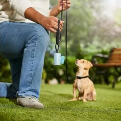 Frisco Dog Poop Bag Square Design Dispenser -Ultimate Pet Shop 309816 PT5. AC SS1800 V1670276147