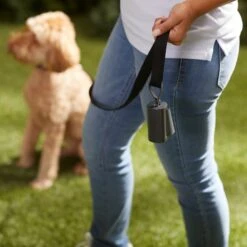 Frisco Poop Bag Square Design Dispenser 12 Frisco Poop Bag Square Design Dispenser -Ultimate Pet Shop 309818 PT5. AC SS1800 V1669101248