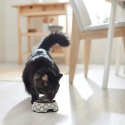 Frisco Moroccan Design Stainless Steel Dog & Cat Bowl -Ultimate Pet Shop 311963 PT3. AC SS1800 V1642542386