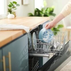 Frisco Coral Design Stainless Steel Dog & Cat Bowl -Ultimate Pet Shop 311972 PT7. AC SS1800 V1642543254