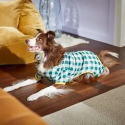 Frisco Boho Gingham Dog & Cat PJs -Ultimate Pet Shop 312272 PT8. AC SS1800 V1644880063