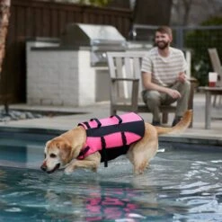 Frisco Ripstop Dog Life Jacket, Pink -Ultimate Pet Shop 312380 PT8. AC SS1800 V1649275938