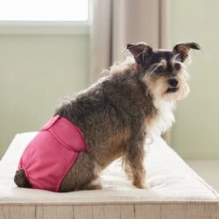 Frisco Washable Female Diaper -Ultimate Pet Shop 315702 PT3. AC SS1800 V1644885450
