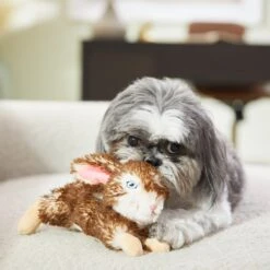 Frisco Realistic Plush Rabbit Plush Dog Toy, Small -Ultimate Pet Shop 316933 PT2. AC SS1800 V1641400634