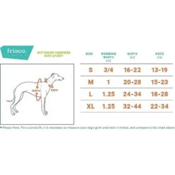 Frisco Outdoor Lightweight Ripstop Nylon Dog Harness & Frisco Outdoor Heathered Nylon Collar -Ultimate Pet Shop 319194 PT3. AC SS1800 V1631143891