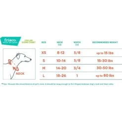 Frisco Outdoor Lightweight Ripstop Nylon Dog Harness & Frisco Outdoor Heathered Nylon Collar -Ultimate Pet Shop 319194 PT7. AC SS1800 V1631118969