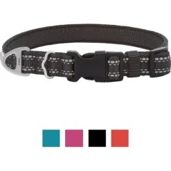 Frisco Outdoor Premium Ripstop Nylon Dog Harness With Pocket & Frisco Outdoor Nylon Reflective Comfort Padded Dog Collar -Ultimate Pet Shop 319304 PT5. AC SS1800 V1631139692