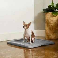 Frisco Training Pad Holder & Frisco Premium Dog Training & Potty Pads -Ultimate Pet Shop 319526 PT4. AC SS1800 V1630624305