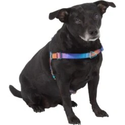 Frisco Purple Ombre Style Dog Harness -Ultimate Pet Shop 324526 PT2. AC SS1800 V1642519692
