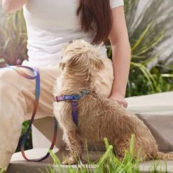 Frisco Purple Ombre Style Dog Harness -Ultimate Pet Shop 324526 PT4. AC SS1800 V1642518470