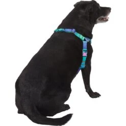 Frisco Green Ombre Style Dog Harness -Ultimate Pet Shop 324531 PT3. AC SS1800 V1642518631