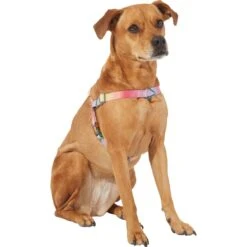 Frisco Pink Ombre Style Dog Harness -Ultimate Pet Shop 324537 PT2. AC SS1800 V1642519336