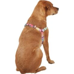 Frisco Pink Ombre Style Dog Harness -Ultimate Pet Shop 324537 PT3. AC SS1800 V1642519146