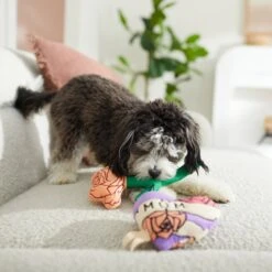 Frisco Mother's Day Rose & Heart Plush Squeaky Dog Toy, 2 Count -Ultimate Pet Shop 327033 PT3. AC SS1800 V1646947953